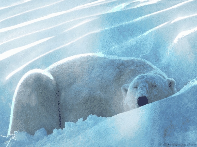 试管促排卵动画,试管孕酮补充过量