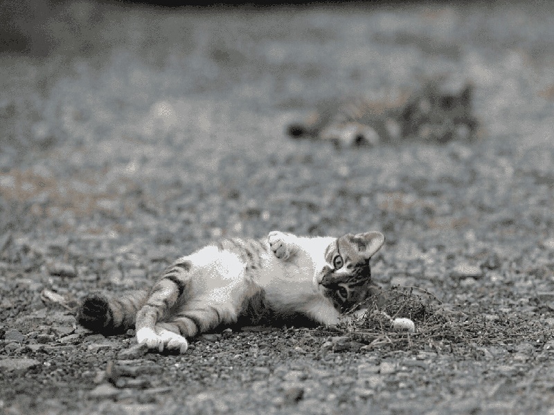 试管pr腺体阴性,衢州不孕不育试管